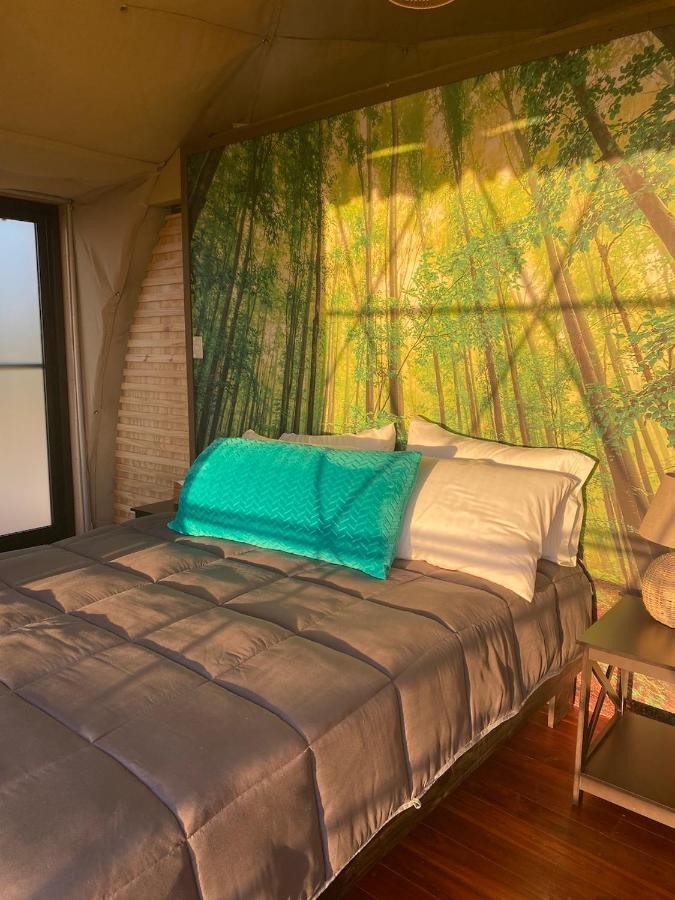 Kintiri Glamping 호텔 니코야 외부 사진